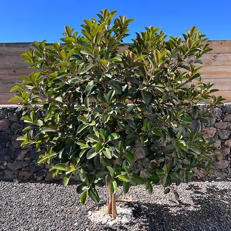 Valentina, Piscine Chauffee Et Serenite
