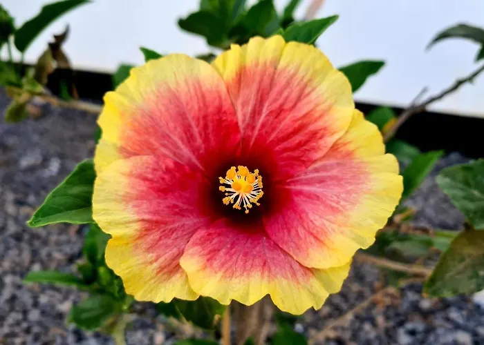 Valentina, Piscine Chauffee Et Serenite Lajares