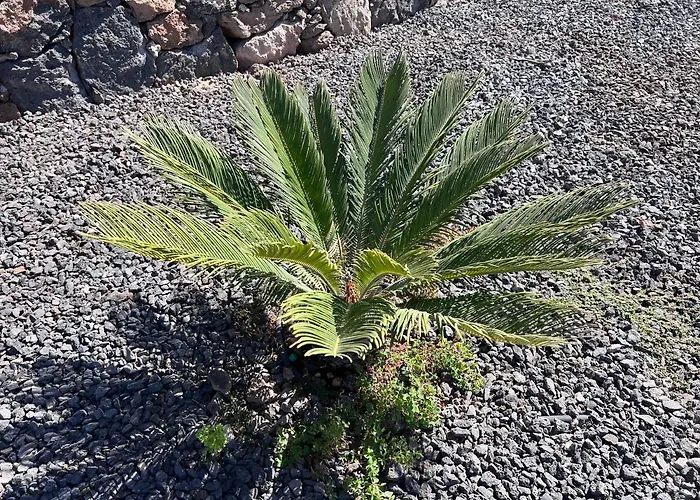 Valentina, Piscine Chauffee Et Serenite Villa *