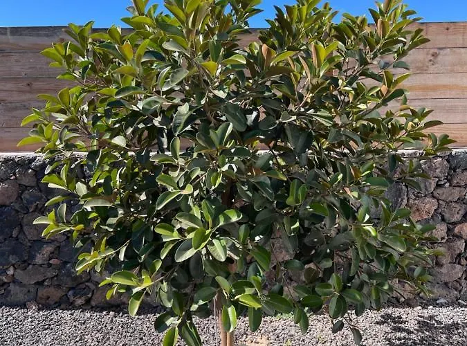 Valentina, Piscine Chauffee Et Serenite