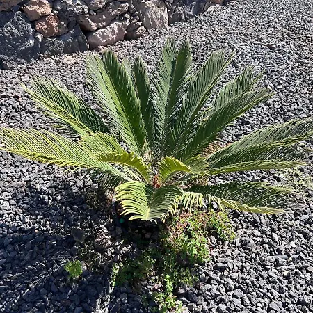 Valentina, Piscine Chauffee Et Serenite Villa *